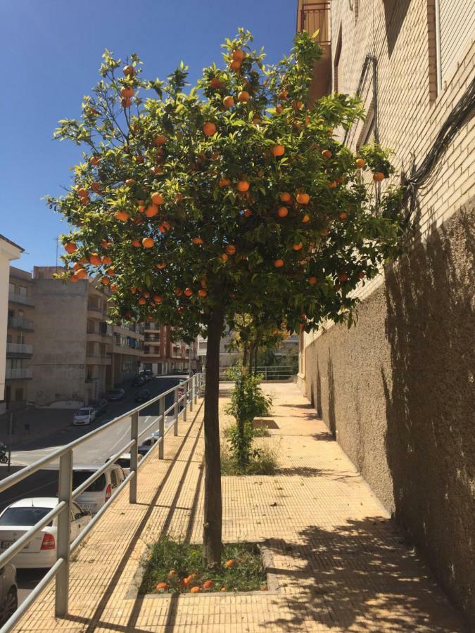 Apartment Sunny Harbour Santa Pola Exterior photo
